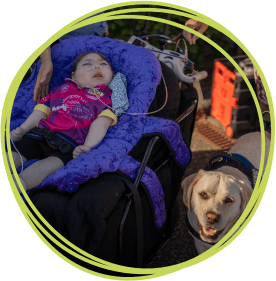 Ophelia with a therapy dog